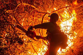 LA Fire Crews Battle Blazes as Schools Prepare to Reopen